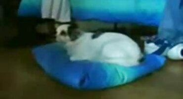 గై అద్దాలు ఒక అందగత్తె ఇబ్బంది పెట్టాడు మరియు వీర్య ధ్రవమ్ చ ల్ల డమ్ తో తెలుగు సెక్సీ వీడియోస్ ఆమె పూకు